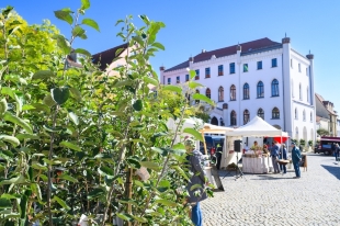 Markttag©HolgerMartens