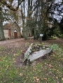 Pflanzenboerse