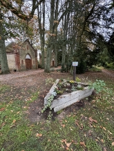 Pflanzenboerse