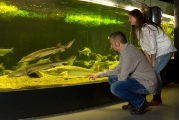 Aquarienlandschaft©mueritzeum
