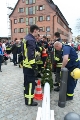 Maibaum 2016