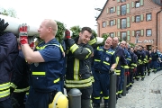 Maibaum 2016