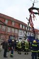 Maibaum 2016