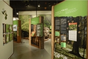 Naturausstellung©mueritzeum