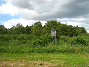 Platt 9