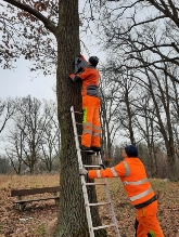 AnbauvonNistkästen©StadtWarenM AnbauvonNistkästen©StadtWarenM