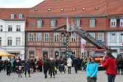 Maibaum 2017