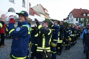 Maibaum 2017