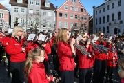 Maibaum 2017