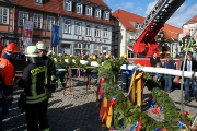 Maibaum 2017