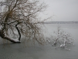 Müritz im Winter