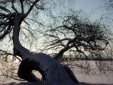 Müritz im Winter - Kietzbrücke