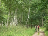 Radwegenetz im Müritz-Nationalpark