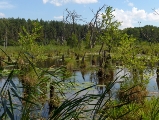 Mühlensee bei Speck