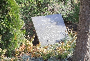 Grabanblage auf dem Warener Friedhof