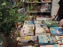 Sommerliteratur Sommerliteratur