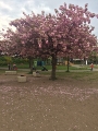 Spielplatz am Hort