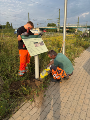 Bild_Hinweistafeln Bild_Hinweistafeln Zauneidechsenhabitate_1