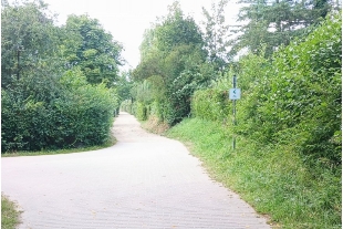 KamerunerWeg©StadtWarenM