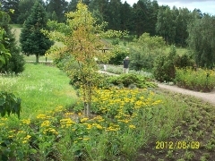 Uurpark Präriegarten